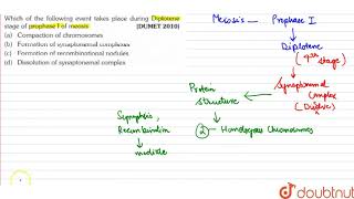 Which of the following event takes place during Diplotene stage of prophase I of meosis [upl. by Suryt318]