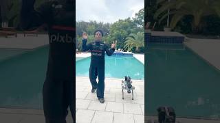 IShowSpeed’s Robot Dog Goes Crazy 🤯🐕‍🦺 shorts [upl. by Zug]