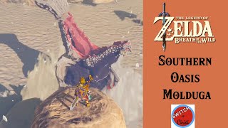 Southern Oasis  Molduga  Breath of the Wild [upl. by Anirol]