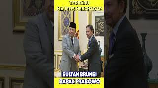 presiden prabowo amp sultan brunei [upl. by Enaile]