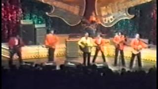 BILL HALEY Bill Haley live  BirminghamEngland 1979 [upl. by Barncard767]