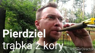 vlog Pierdziel czyli trąbka z kory buszkraftowa wuwuzela [upl. by Eecram]