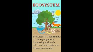 Biosphere  Ecosystem in a nutshell shorts [upl. by Eevets]