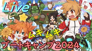 【RO】ブートキャンプ2024きてるぞ！【ラグナロクオンライン】 [upl. by Bettye]