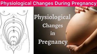 Physiological Changes During Pregnancy  Physiological Changes in Pregnancy  Changes in Pregnancy [upl. by Mclaurin]