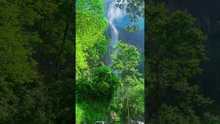 Diyaluma FallsSri Lanka [upl. by Butte]