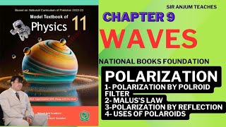 Understanding Polarization and Maluss Law  Physics 11  Chapter 9 Waves Lecture 8  NBF [upl. by Mosra]