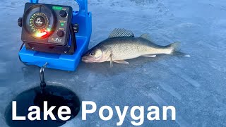 FIRST ICE Lake Poygan Walleyes amp White Bass [upl. by Suirtemed]