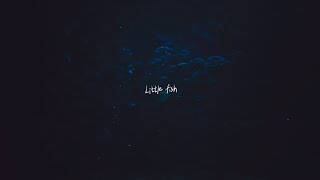 Little Fish Lyrics Video [upl. by Atnuahc]