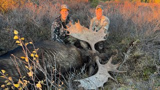 Another Moose with my Dad our typical fly in Alaskan moose hunting adventure [upl. by Terle]