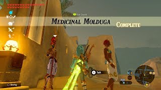 Zelda BOTW Medicinal Molduga Side Quest [upl. by Eisset214]