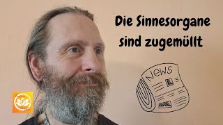 Die Sinnesorgane sind zugemüllt [upl. by Enelrihs534]