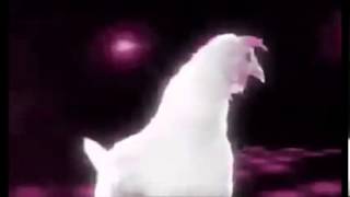 DUBSTEP CHICKEN [upl. by Aerdnod]