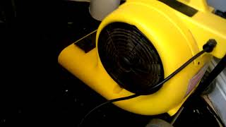 karcher ab84 airdryer drying out the bathroom floor again after another massive shower leak [upl. by Assirram]