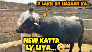 3 lakh 68 hazar ka New kata ly liya😍😍waqar Bhinder 😎 [upl. by Kohsa966]