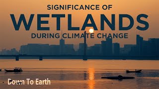 World Wetlands Day 2022 Importance of wetlands at the time of climate change [upl. by Wons141]