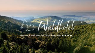 4 Sterne Wellnesshotel im Schwarzwald ★★★★  Waldhotel am Notschreipass [upl. by Breed326]