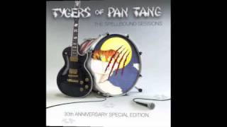 Tygers of Pan Tang The Spellbound Sessions PromoTyger Bay [upl. by Dannie914]