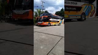 Rosalia Indah Terbaru rosaliaindah busmania bismania shorts short palembang pati [upl. by Tengler280]