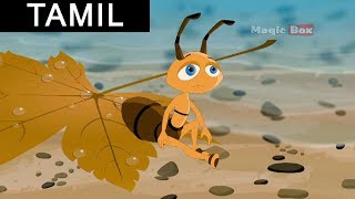 The Ant And The Doveஎறும்பும் புறாவும்  Aesops Fables In Tamil For Kids [upl. by Saimerej9]