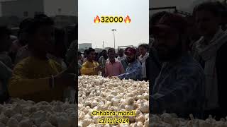 Chhabra mandi garlic good farmer farming short [upl. by Malvina996]