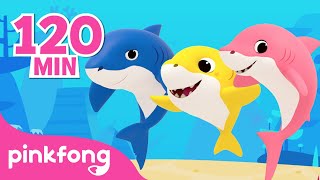 La Danse de la Comptine Bébé Requin  Chansons  Pinkfong Bébé Requin  Chansons pour Enfants [upl. by Drusilla]