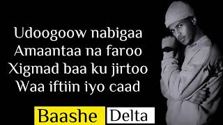 BAASHE DELTA  CIIDA  HEES CUSUB LYRICS 2022 [upl. by Naoj659]