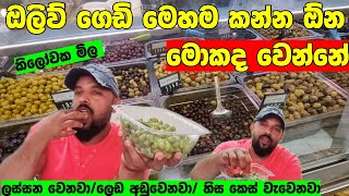 Olive oil ඔලිව් ගෙඩි කන්න පුළුවන් ද ලංකාවට අරගෙන යමුද [upl. by Lipps]