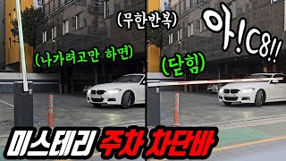 주차 차단기가 현대 사회에 미치는 폭력성 실험 feat실험쥐1호 [upl. by Annoet]