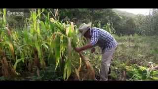 VELOZ DE LA SIERRA  LA VIDA EN EL CAMPO VIDEO OFICIAL [upl. by Bannister]