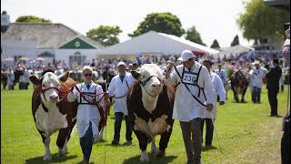 Great Yorkshire Show Live Stream [upl. by Franny]