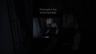 Dark Web Creepy Dog 💀 darkweb creepy horrorstories shorts [upl. by Nasya]