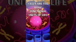 Cells Are The Basic Functional Unit Of Life shortsfeed cellbiology cell [upl. by Ayortal]