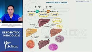 RM 2023 Gastroenterología 13 Hepatopatias por Alcohol [upl. by Llesirg]