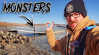 FIRST ICE Fishing For POND MONSTERS One After Another [upl. by Rambow267]