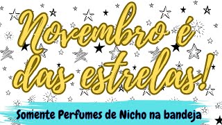 🤩 Os perfumes que irei usar em novembro 🤑 SOMENTE NICHO perfumesimportados perfumedenicho [upl. by Maddocks]