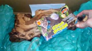 Pt 2 Mopani Driftwood Unboxing  Drs Foster amp Smith Aquarium Supplies [upl. by Jaynell674]