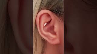 6 Types of Conch Piercings [upl. by Beaudoin507]