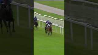 City Of Troy  sensational in the Juddmonte International horse horseracing racingtv sport [upl. by Wailoo]