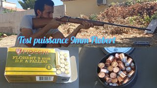 Test puissance 9mm Flobert Carabine 😩😩😅 [upl. by Aholah]