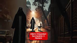 Allahın Köpekleri Sevmesinin 3 Nedeni hayalhanem sözlerköşkü dinivideolar islam dua amin [upl. by Cummins]