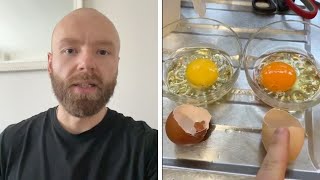 Eggs and Milk Recap [upl. by Naj]