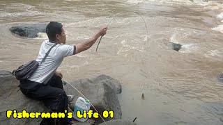 The Life of Village Fishermen in Wild Fish Catching Skills 01 [upl. by Scotty427]