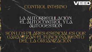 EL CONTROL INTERNO amp CONTROL TRIBUTARIO [upl. by Eiroc]