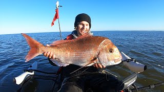 Kayak Fishing for GIANT Snapper New PB [upl. by Edva666]