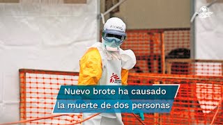 OMS alerta por riesgo de propagación de nuevo brote del virus de ébola [upl. by Clovis107]