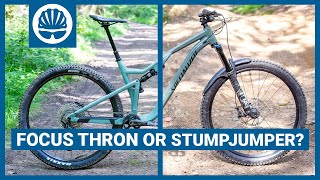 Specialized Stumpjumper Vs Focus Thron  Which is The Better Alloy Trail Bike [upl. by Eade441]