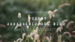 Assassinio sul Nilo di Agatha Christie  Capitolo Ventiquattro [upl. by Pavel]