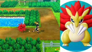 SANDSLASH EXPERT Reveals the FASTEST WAY to MASTER Pokemon Lets Go [upl. by Shwalb]