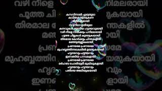 kasavinal song cover  hanansstorys hananey hananshah songs lyrics shorts [upl. by Nav]